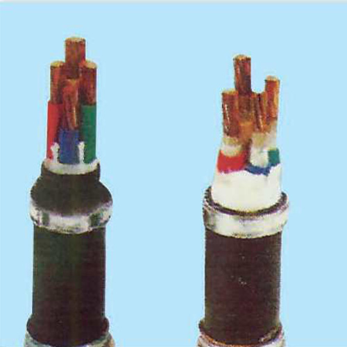 电力电缆（YJV　YJV22　WDZYJV）